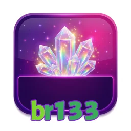 br133